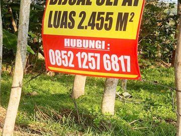 Jual Tanah 2.455 m2 di Banyumas Jawa Tengah Dekat RSUD Banyumas, Alun-Alun Banyumas