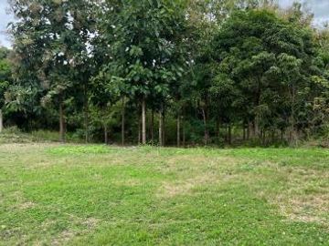 Venta Hacienda 93.20 Has Via Gquil - Salinas, Km 51,sector al pie de la vía Salinas-Guayaquil. sector Cerecita (En Producción)
