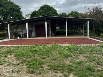 Venta Hacienda 93.20 Has Via Gquil - Salinas, Km 51,sector al pie de la vía Salinas-Guayaquil. sector Cerecita (En Producción)