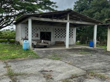 Venta Hacienda 93.20 Has Via Gquil - Salinas, Km 51,sector al pie de la vía Salinas-Guayaquil. sector Cerecita (En Producción)