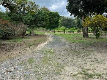 Venta Hacienda 93.20 Has Via Gquil - Salinas, Km 51,sector al pie de la vía Salinas-Guayaquil. sector Cerecita (En Producción)