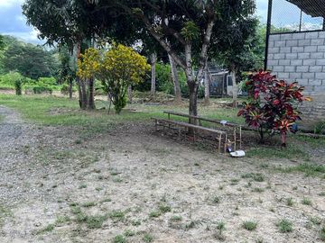 Venta Hacienda 93.20 Has Via Gquil - Salinas, Km 51,sector al pie de la vía Salinas-Guayaquil. sector Cerecita (En Producción)