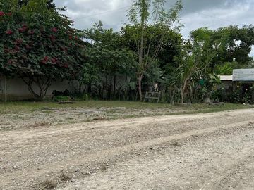 Venta Hacienda 93.20 Has Via Gquil - Salinas, Km 51,sector al pie de la vía Salinas-Guayaquil. sector Cerecita (En Producción)