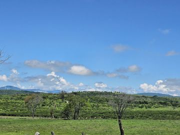 Rancho en VENTA con casa habitación y hectáreas de riego y agostadero Palmarejo , Zacatecas