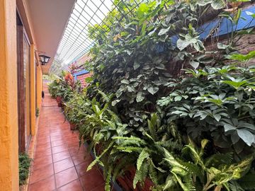 Propiedad en venta,2casas ,1 bungalo y Terraza en zapopan