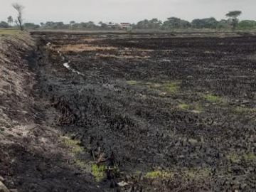 Venta  9.60 Has Via Durán Tambo Km 9 Frente a La Via Principal
