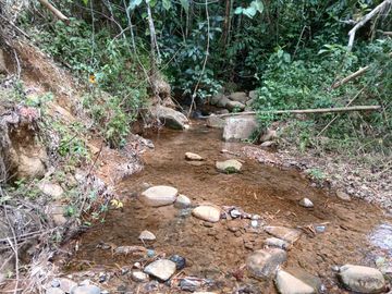 FINCA GANADERA EN SALONICA, RIO FRIO