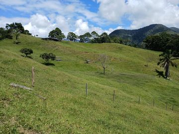 FINCA GANADERA EN SALONICA, RIO FRIO