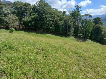FINCA GANADERA EN SALONICA, RIO FRIO