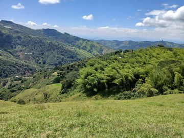FINCA GANADERA EN SALONICA, RIO FRIO