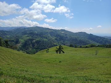 FINCA GANADERA EN SALONICA, RIO FRIO