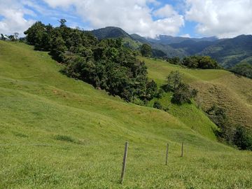 FINCA GANADERA EN SALONICA, RIO FRIO