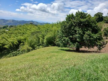 FINCA GANADERA EN SALONICA, RIO FRIO