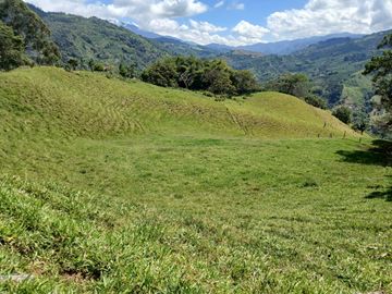 FINCA GANADERA EN SALONICA, RIO FRIO