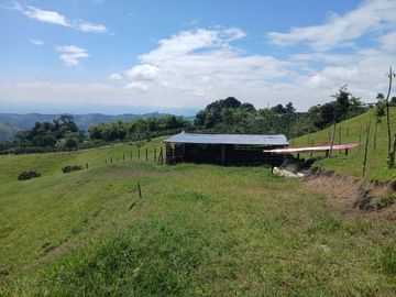 FINCA GANADERA EN SALONICA, RIO FRIO