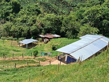 FINCA GANADERA EN SALONICA, RIO FRIO