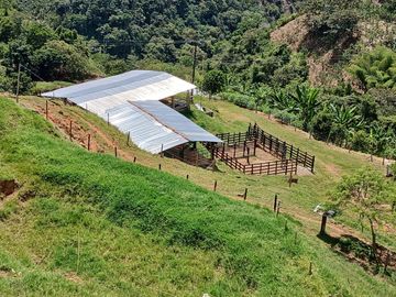 FINCA GANADERA EN SALONICA, RIO FRIO
