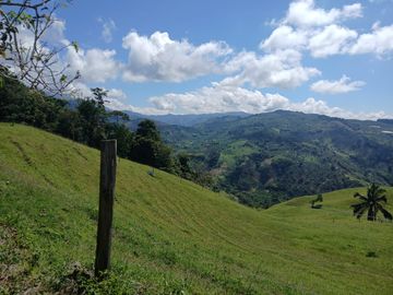 FINCA GANADERA EN SALONICA, RIO FRIO