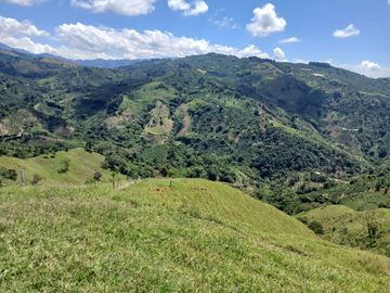 FINCA GANADERA EN SALONICA, RIO FRIO