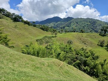 FINCA GANADERA EN SALONICA, RIO FRIO