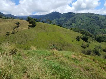 FINCA GANADERA EN SALONICA, RIO FRIO