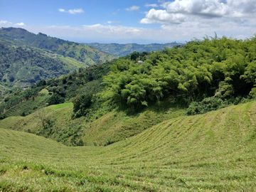FINCA GANADERA EN SALONICA, RIO FRIO