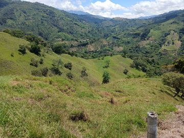 FINCA GANADERA EN SALONICA, RIO FRIO