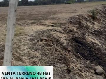 Venta Terreno 48 Has Al Pan- Yaguachi A un  1 Km. del  Peaje Durán Yaguachi a 600 m de La Via