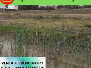 Venta Terreno 48 Has Al Pan- Yaguachi A un  1 Km. del  Peaje Durán Yaguachi a 600 m de La Via