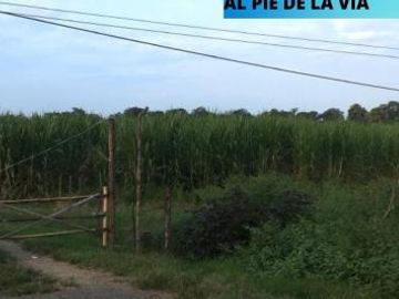 Venta Terreno 12.13 Has Via D. Yaguachi Km 11 a Pocos m del Pyadi, junto Via