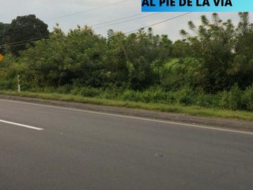 Venta Terreno 12.13 Has Via D. Yaguachi Km 11 a Pocos m del Pyadi, junto Via