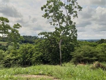 Venta de finca en Planeta Rica Vereda La Carolina