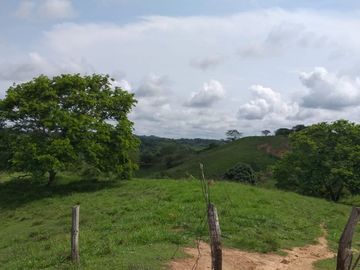 Venta de finca en Planeta Rica Vereda La Carolina