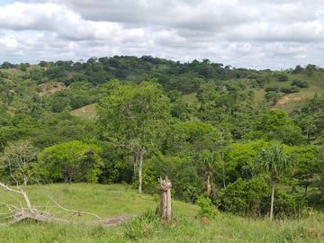 Venta de finca en Planeta Rica Vereda La Carolina
