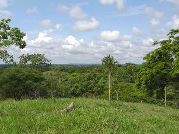 Venta de finca en Planeta Rica Vereda La Carolina