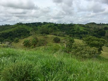 Venta de finca en Planeta Rica Vereda La Carolina