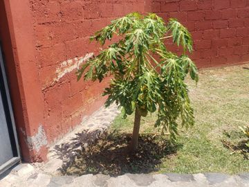 Vendo linda casa a 10 minutos del centro de Malinalco