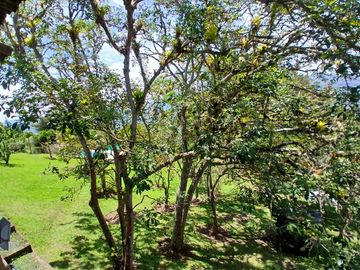 CASA EN VENTA EL CARMEN