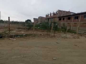 VENDO TERRENO PLANO DE 2 HA EN PREDIO RUSTICO HUAQUILLAS TUMBES