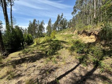 TERRENO EN VENTA SECTOR Sidcay el Guabo