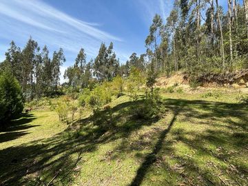 TERRENO EN VENTA SECTOR Sidcay el Guabo