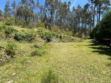 TERRENO EN VENTA SECTOR Sidcay el Guabo