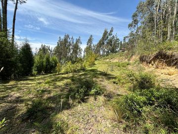 TERRENO EN VENTA SECTOR Sidcay el Guabo
