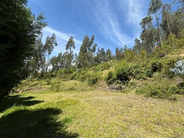 TERRENO EN VENTA SECTOR Sidcay el Guabo