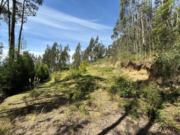 TERRENO EN VENTA SECTOR Sidcay el Guabo