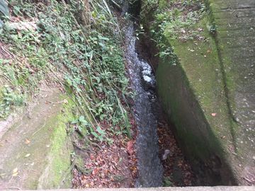 VENDO FINCA DE UNA HECTÁREA ENTRE GIRARDOTA Y BARBOSA ANTIOQUIA