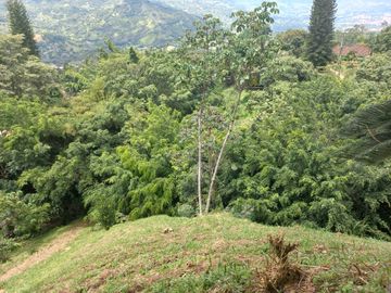VENDO FINCA DE UNA HECTÁREA ENTRE GIRARDOTA Y BARBOSA ANTIOQUIA
