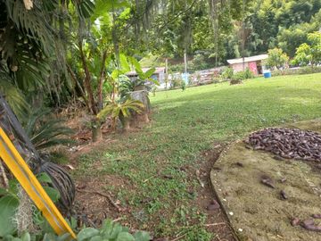 VENDO FINCA DE UNA HECTÁREA ENTRE GIRARDOTA Y BARBOSA ANTIOQUIA