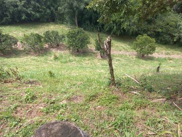VENDO FINCA DE UNA HECTÁREA ENTRE GIRARDOTA Y BARBOSA ANTIOQUIA