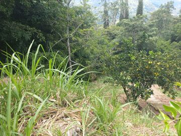 VENDO FINCA DE UNA HECTÁREA ENTRE GIRARDOTA Y BARBOSA ANTIOQUIA